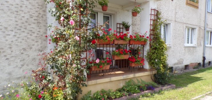 Właściciele najpiękniejszych balkonów nagrodzeni