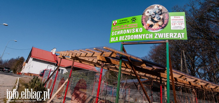 "Czy nikt tego nie widzi? Pies stanowi zagrożenie dla innych. To skandal"