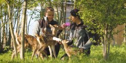 Zobacz podopiecznych O�rodka Jelonki (film)
