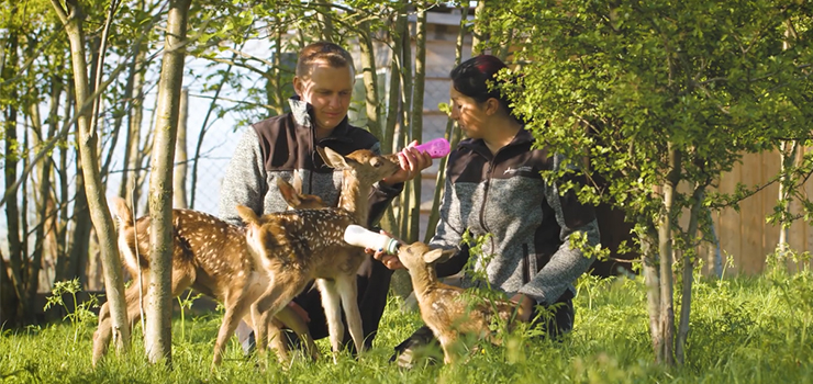 Zobacz podopiecznych Ośrodka Jelonki (film)
