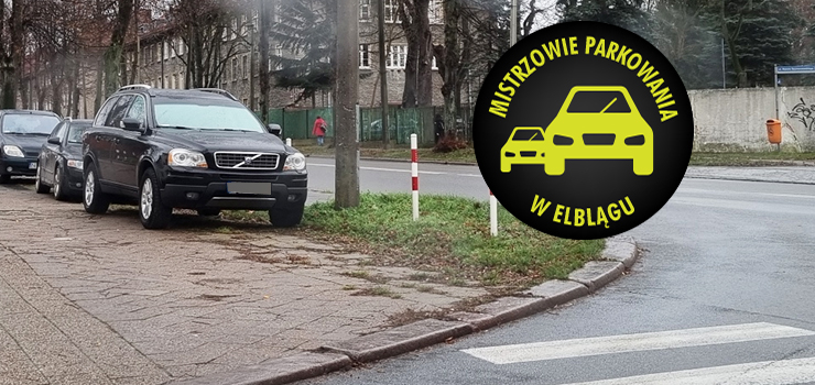 Mistrzowie parkowania w Elblągu (część 130)