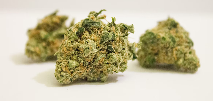 Zatrzymani za posiadanie narkotyków