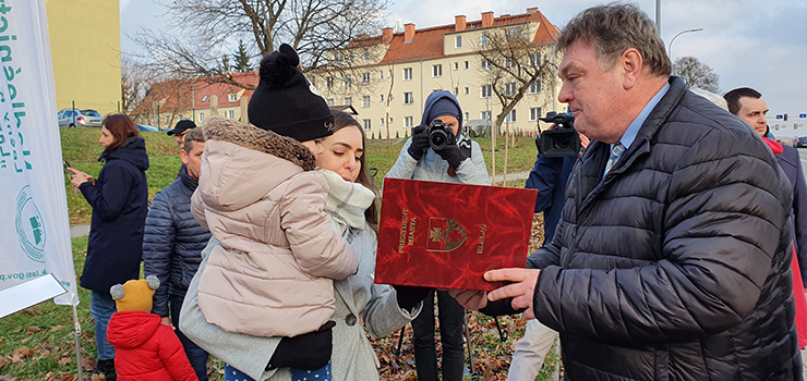 "Wraz z narodzinami dziecka w Elblgu mona posadzi drzewo". Ruszya nowa akcja