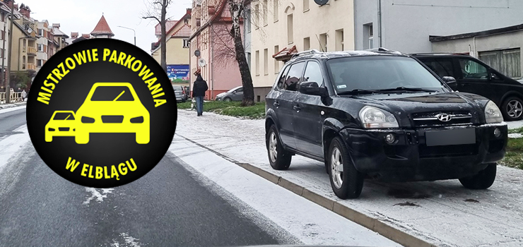 Mistrzowie parkowania w Elblągu (część 131)