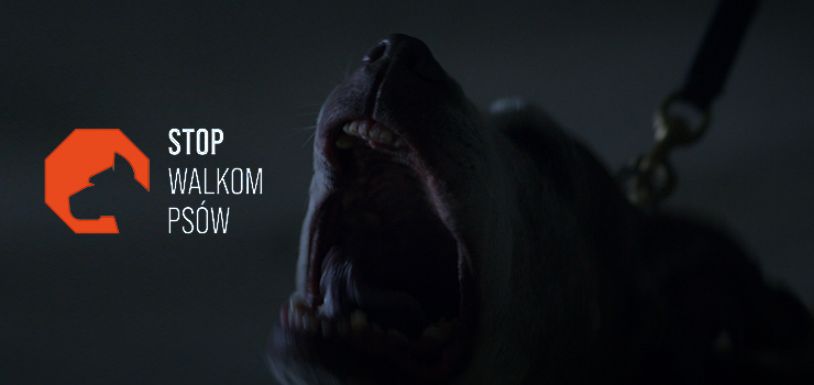 Jak rozpoznać psa, który jest zmuszany do walk? Wystartowała kampania Stop Walkom Psom