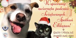 Wspierajmy czworonogi podczas �wi�tecznych Spotka�