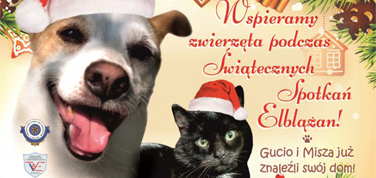 Wspierajmy czworonogi podczas Świątecznych Spotkań