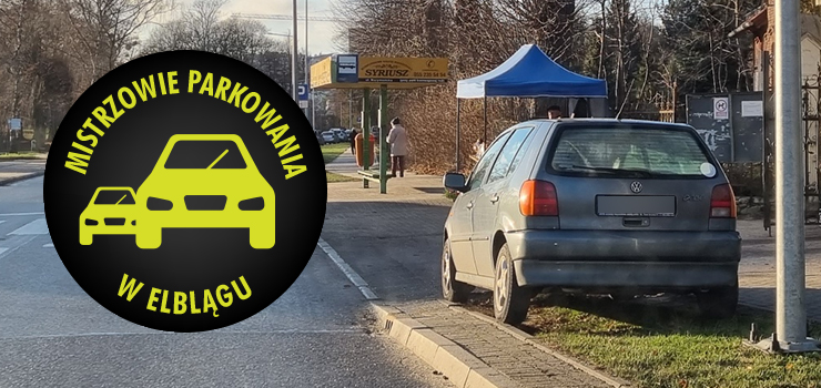 Mistrzowie parkowania w Elblągu (część 133)