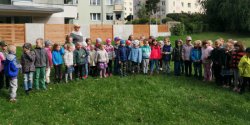 �wi�to drzewa w przedszkolu nr 6 w Elbl�gu
