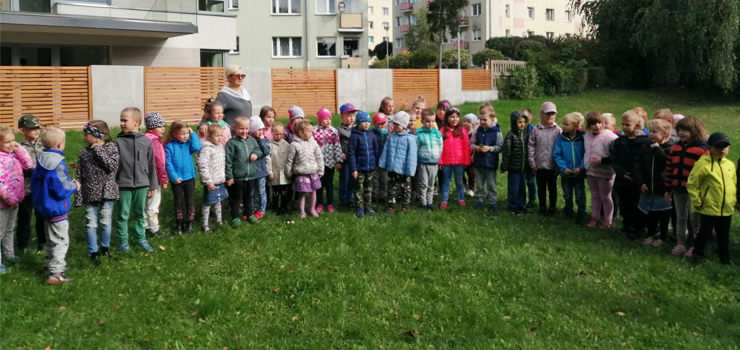 Święto drzewa w przedszkolu nr 6 w Elblągu