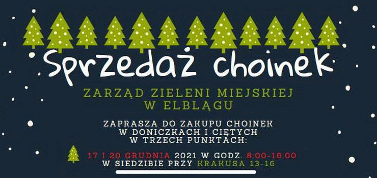 Zarzd Zieleni Miejskiej w Elblgu zaprasza do zakupu choinek