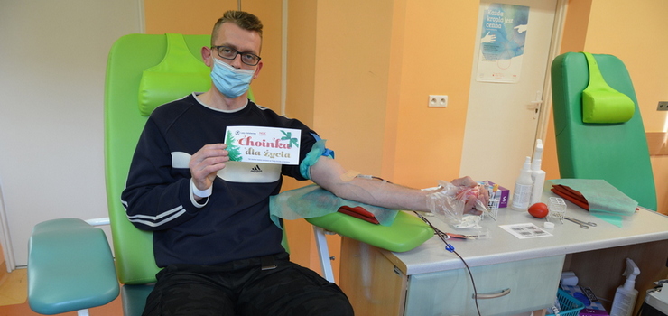 Elbląg: "Choinka dla życia". Świąteczne drzewka w prezencie dla dawców krwi