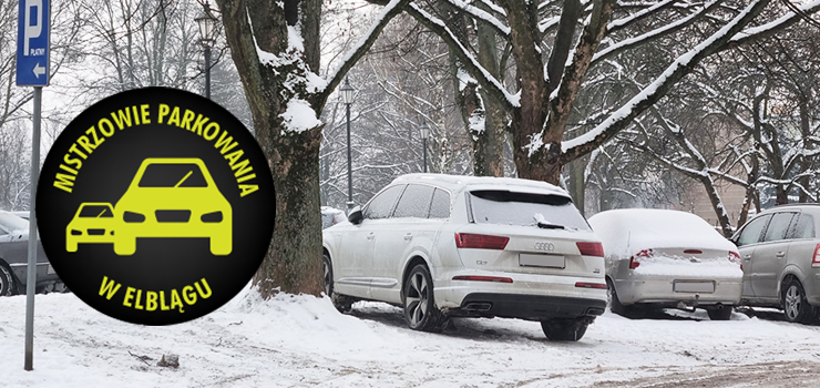 Mistrzowie parkowania w Elblągu (część 134)