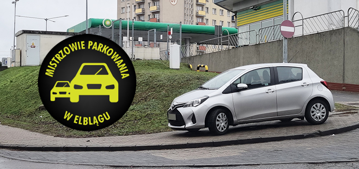 Mistrzowie parkowania w Elblągu (część 135)