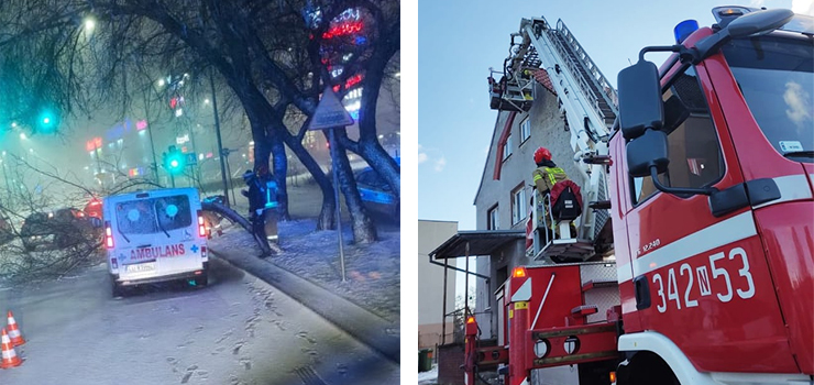 Silny wiatr powalił w Elblągu kilkanaście drzew. Na Łęczyckiej drzewo spadło na dwóch przechodniów