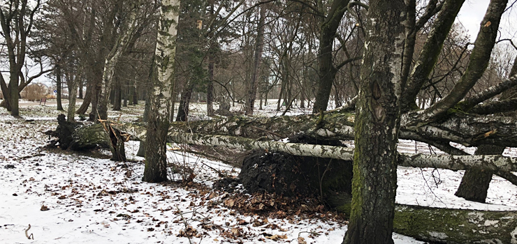 Wiatr nie odpuszcza. "Nowych zgłoszeń wciąż przybywa" (nowe zdjęcia)
