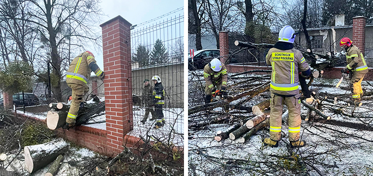OSP Nowakowo walczya w Elblgu ze skutkami wichury - zobacz zdjcia