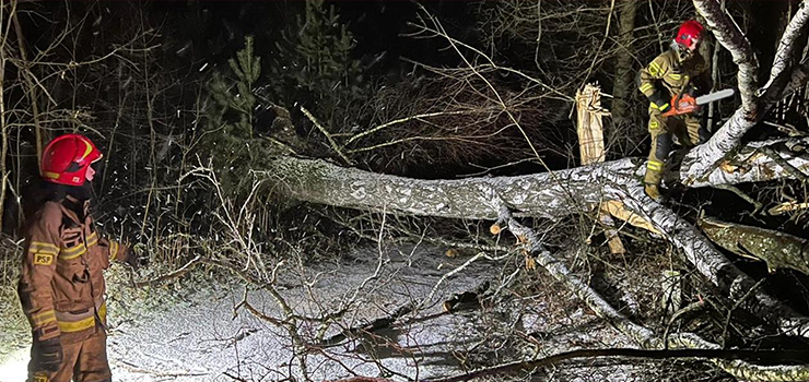 Wczoraj straż pożarna interweniowała w naszym województwie prawie 300 razy