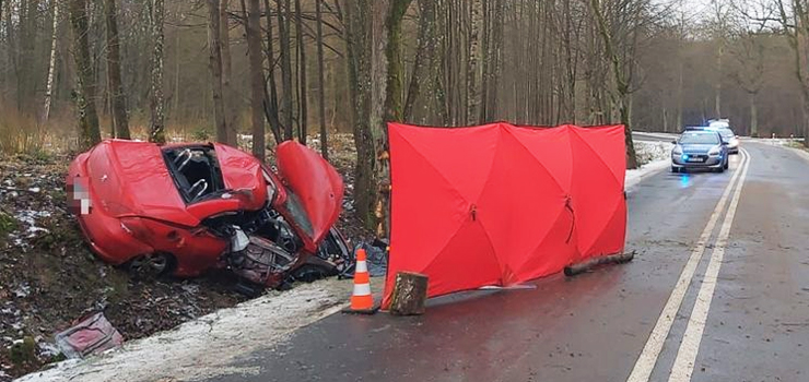 Śmiertelny wypadek na drodze pomiędzy Elblągiem a Młynarami