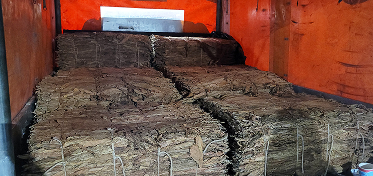 W Elblągu rozbito biznes tytoniowy