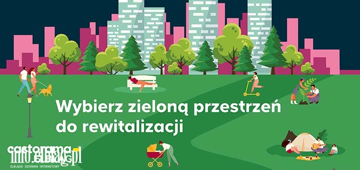 Ruszyło głosowanie na rewitalizację zielonej przestrzeni w Elblągu