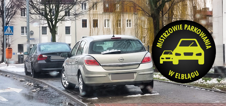 Mistrzowie parkowania w Elblągu (część 137)