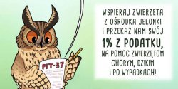 Pom nam pomaga