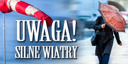 Uwaga na silny wiatr!  W powiecie elbl�skim wprowadzono trzeci stopie� ostrze�enia meteorologicznego