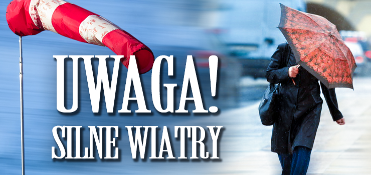 Uwaga na silny wiatr! W powiecie elbląskim wprowadzono trzeci stopień ostrzeżenia meteorologicznego