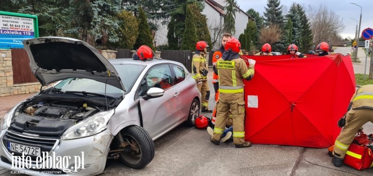 Wieje w Elblgu i w powiecie. Straacy walcz ze skutkami wichury