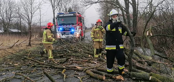 OSP w Krzewsku: uwaajcie na siebie. Jest niebezpiecznie - zwaszcza pod drzewami