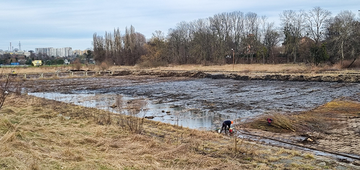 Na basenie przy Spacerowej trwają prace porządkowe – zobacz film
