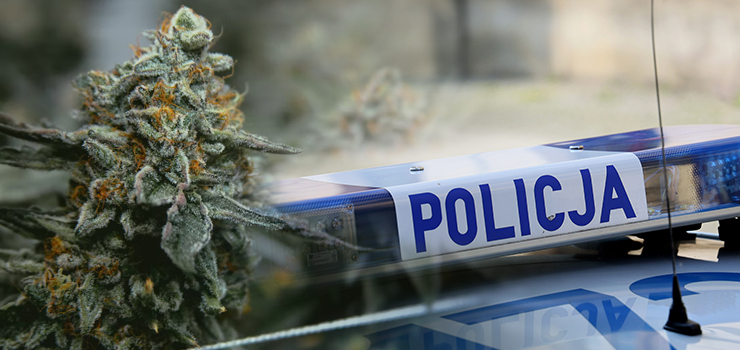 Narkotyki i nielegalna strzelba