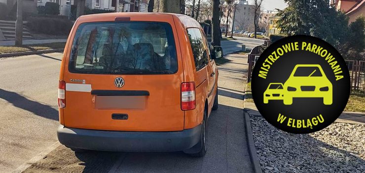 Mistrzowie parkowania w Elblągu (część 142)