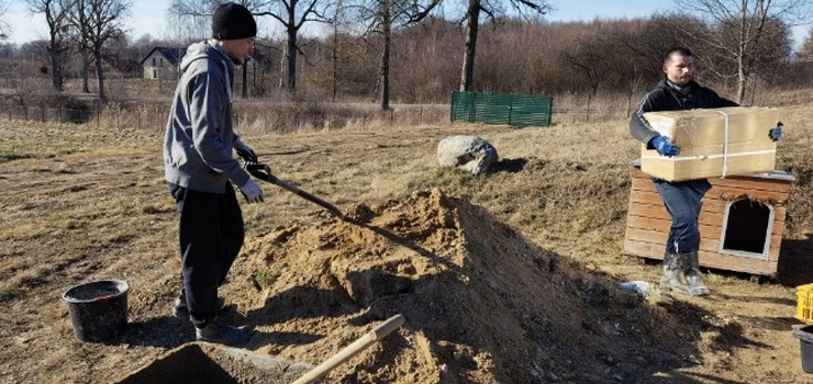 Pod Elblgiem powstaje przytulisko dla psw z Ukrainy. Nie wszystkim to si podoba