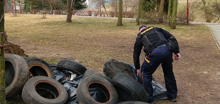 Wraz z pierwszymi promieniami słońca działkowcy ruszyli porządkować swoje ogródki
