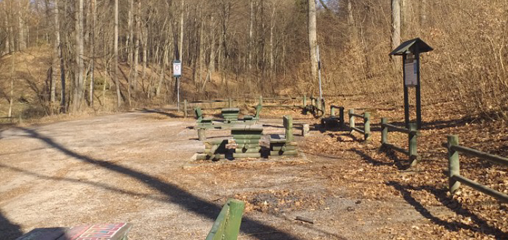 Nadleśnictwo Elbląg - Przygotowania do sezonu turystycznego w lesie!