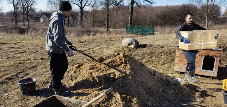 Przytulisko pod Elblągiem jednak nie powstanie?