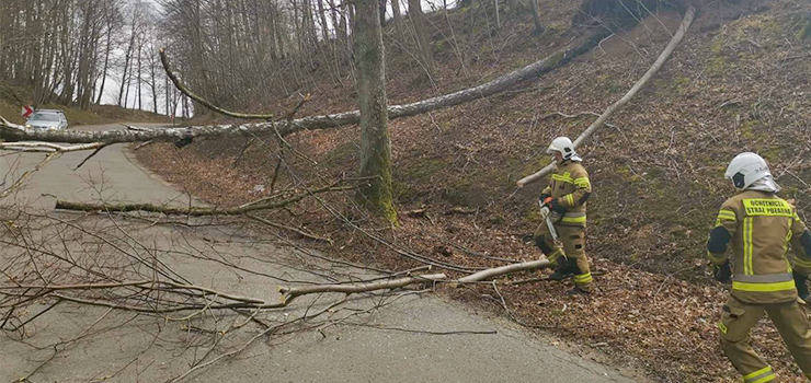 Za nami kolejny wietrzny dzień