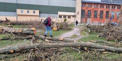 Wycinka drzew. Niezabezpieczony teren! Co powstanie przy ul.Wodnej?