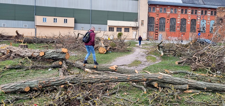 Wycinka drzew. Niezabezpieczony teren! Co powstanie przy ul.Wodnej?