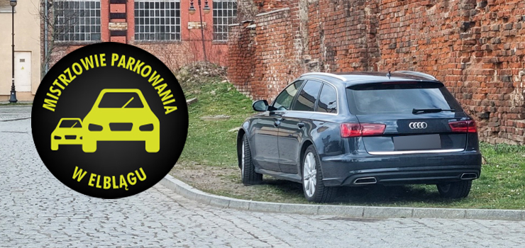 Mistrzowie parkowania w Elblągu (część 146)