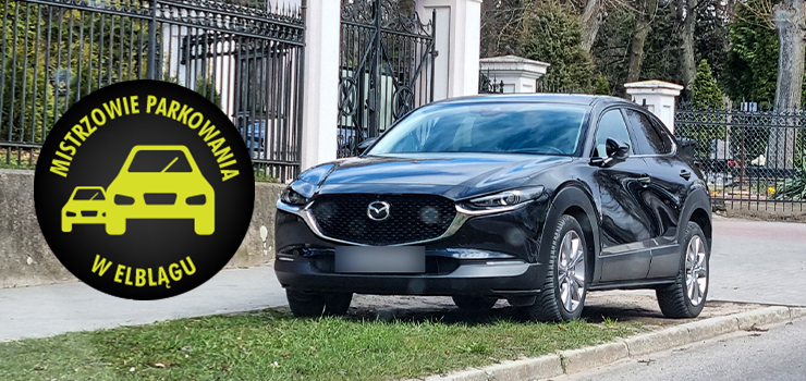 Mistrzowie parkowania w Elblągu (część 147)