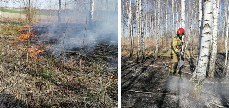 Świąteczne pożary traw - temat nadal aktualny