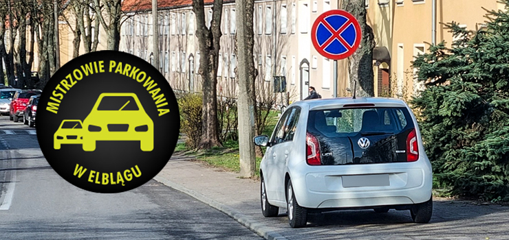 Mistrzowie parkowania w Elblągu (część 149)