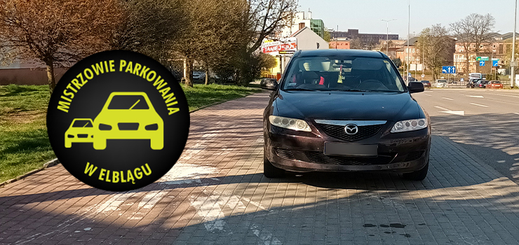 Mistrzowie parkowania w Elblągu (część 150)