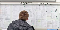 Cz�� bezrobotnych elbl��an udaje, �e szuka pracy? "To dotyczy wi�cej ni� 50 proc. zarejestrowanych"