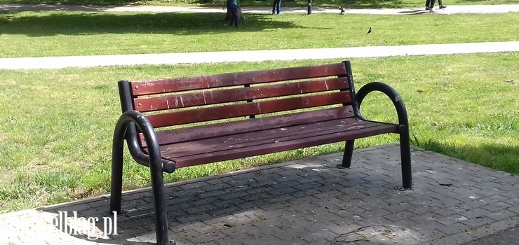 Ławki upstrzone ptasimi odchodami. W Parku Traugutta lepiej uważać, gdzie się siada?