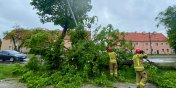 Elbląg: Połamane drzewa, uszkodzona latarnia. Strażacy usuwali skutki wichury 