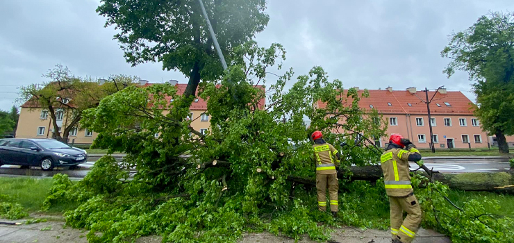 Elbląg: Połamane drzewa, uszkodzona latarnia. Strażacy usuwali skutki wichury